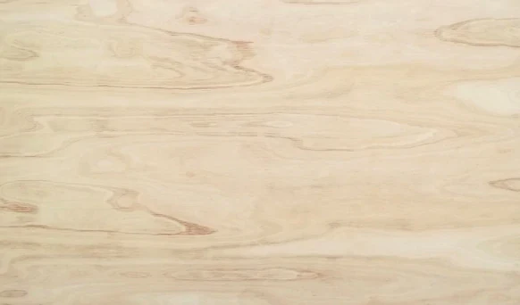 LUMIN EUCALYPTUS HARDWOOD PLYWOOD WBP PHENOLIC GLUE BOND CLASS 3 BB/CC 2440 X 1220 X 18MM MM - Image 2