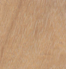 VENEER EDGE THICKWOOD IROKO 22MM X 2MM (100)